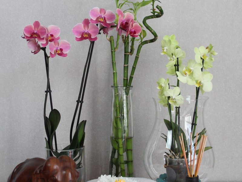 Dekoration mit Orchideen, Bambus und einer Elefantenfigur.